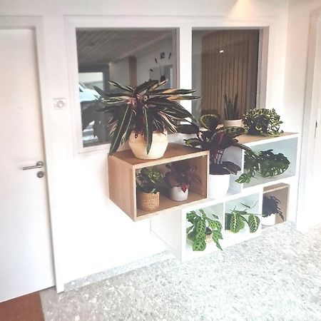 Moderne F3 - 10 Min Aeroport Cdg - Paris - Parc Asterix - Disneyland Paris - Tour Eiffel - Champs Elysee - 15 Min Parc Des Expositions Villepinte - 10 Min Le Bourget - 5 Min Du Golf International De Roissy- Jo 2024 Le Thillay ภายนอก รูปภาพ